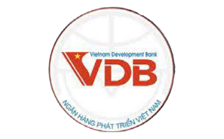 Nguyen Thi Ngoc Linh, Vietnam Development Bank